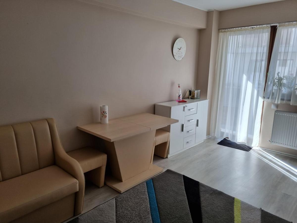 Apartament Mon Jardin - Iasi Apartman Kültér fotó